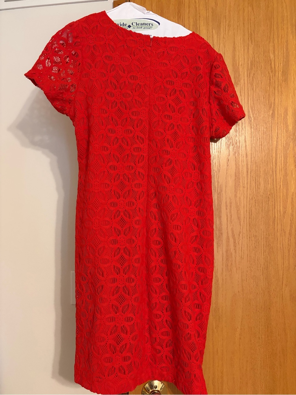 Chaus Red Lace Mini Shift Dress